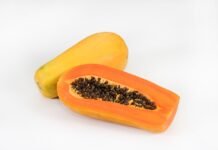 Papaya