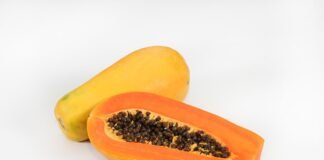 Papaya